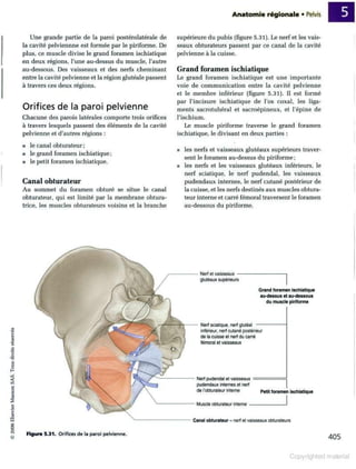 Grays anatomie