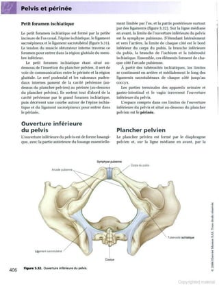 Grays anatomie