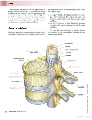 Grays anatomie
