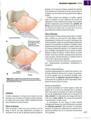 Grays anatomie