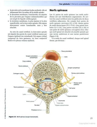 Grays anatomie