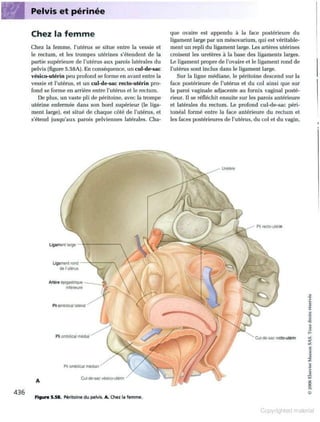 Grays anatomie