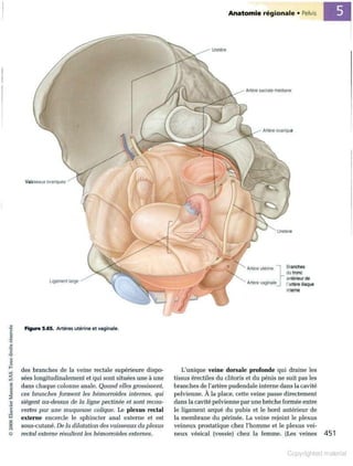 Grays anatomie