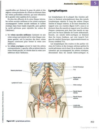 Grays anatomie