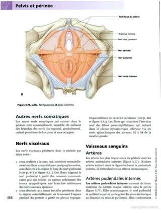 Grays anatomie