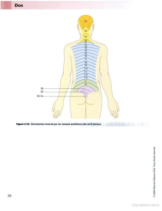 Grays anatomie