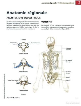 Grays anatomie
