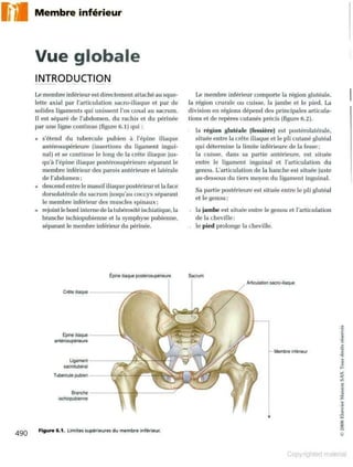 Grays anatomie