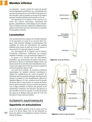 Grays anatomie