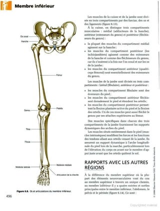 Grays anatomie