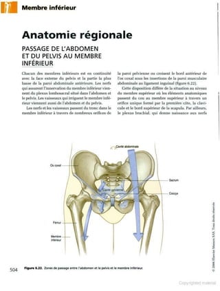 Grays anatomie