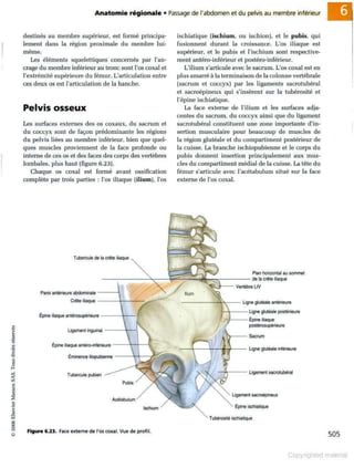 Grays anatomie