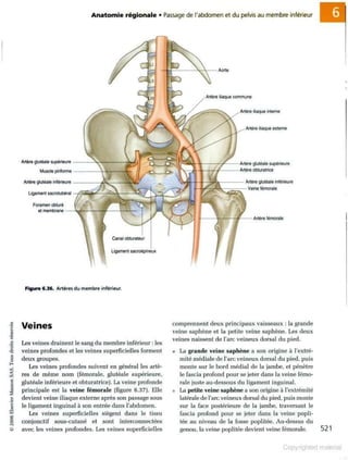 Grays anatomie