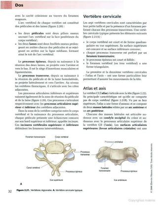 Grays anatomie