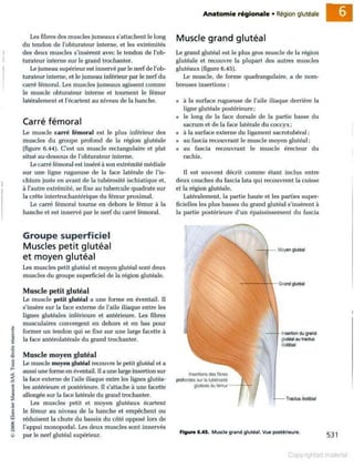 Grays anatomie