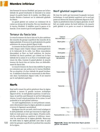 Grays anatomie