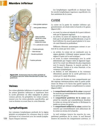 Grays anatomie