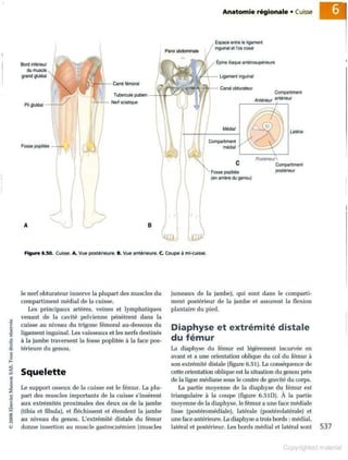 Grays anatomie