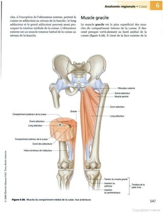 Grays anatomie