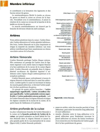 Grays anatomie