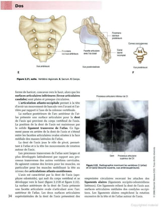Grays anatomie