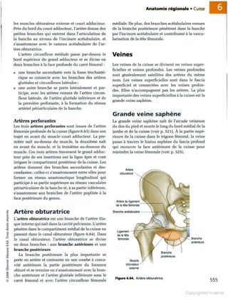 Grays anatomie