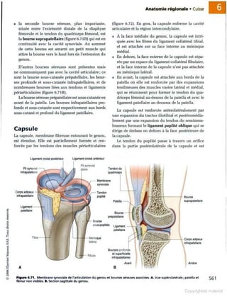 Grays anatomie