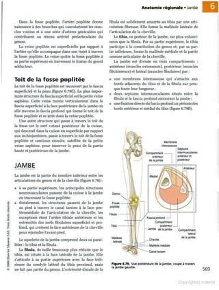 Grays anatomie