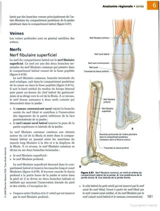 Grays anatomie