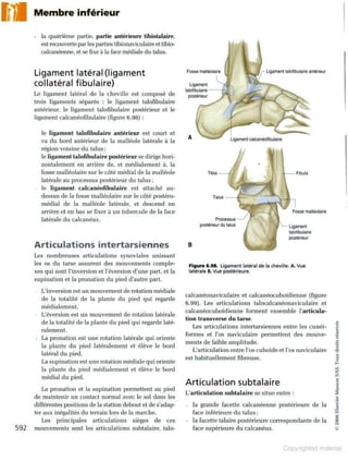Grays anatomie