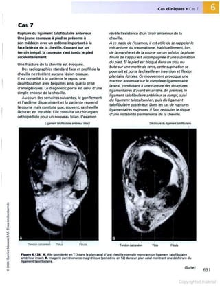 Grays anatomie
