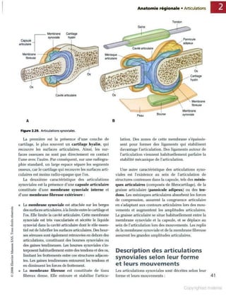 Grays anatomie