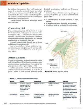 Grays anatomie