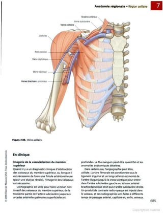 Grays anatomie