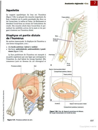 Grays anatomie