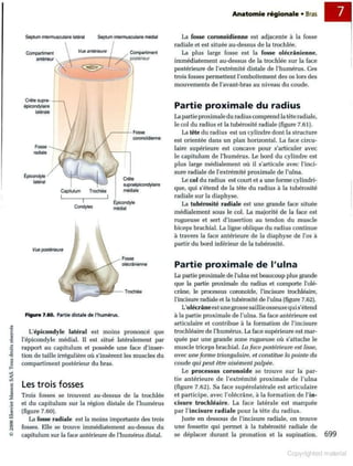 Grays anatomie