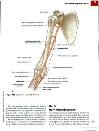 Grays anatomie