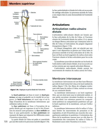 Grays anatomie
