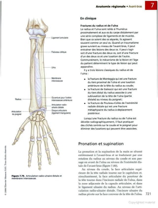 Grays anatomie