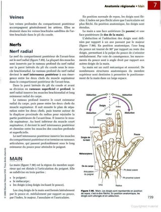 Grays anatomie