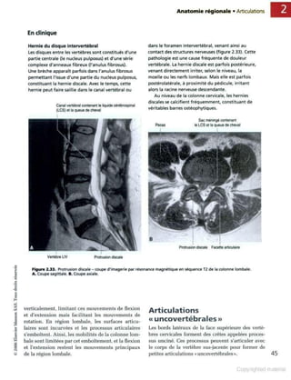 Grays anatomie