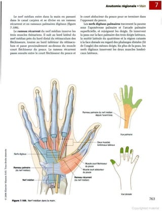 Grays anatomie