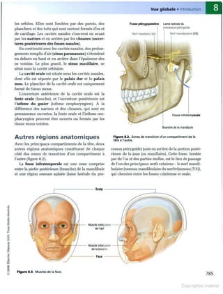 Grays anatomie
