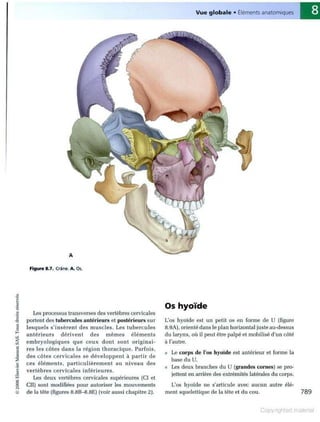 Grays anatomie