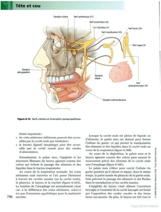 Grays anatomie