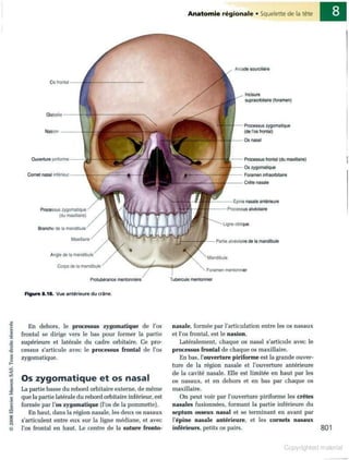 Grays anatomie