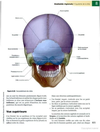 Grays anatomie