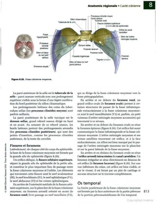 Grays anatomie