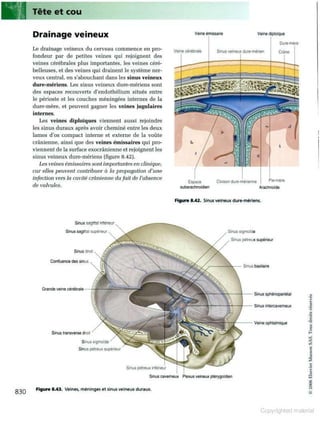 Grays anatomie