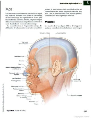 Grays anatomie
